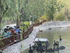 -静之湖度假区