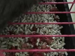 -美联众合动物医院(唯恩分院)