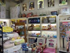 -贵族宠物·宠物美容(三阳路店)