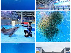 -合肥融创乐园