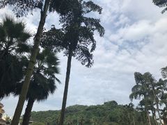 -重庆海昌加勒比海水世界