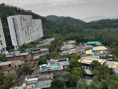 -玫瑰海岸假日酒店