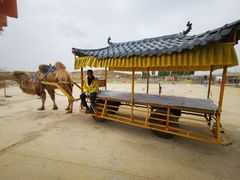 -水洞沟旅游区