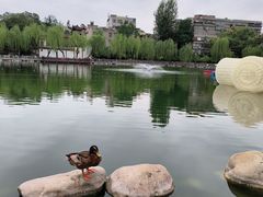 -莲湖公园