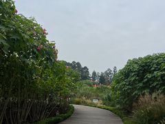 -天府芙蓉园