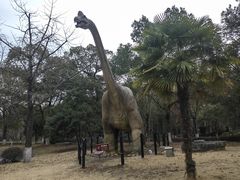 -金钉子远古世界景区