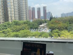 -百年果林椰子鸡(中洲店)