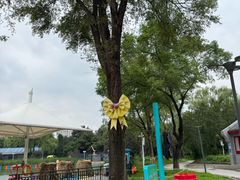 -北陵公园