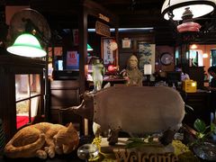 -古董花园(思南路42弄小区店)
