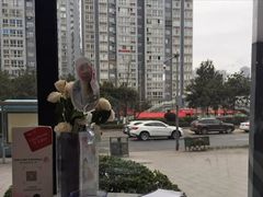 -必胜客(金开大道店)