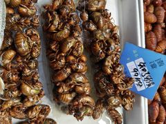 -渔港甄宴·海鲜·地标烟台菜(金沙滩店)