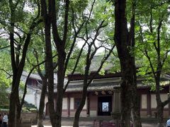 -宁波市保国寺古建筑博物馆