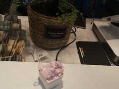 -野人牧坊Gelato(天津南开大悦城店)