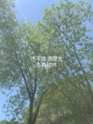 -大美儿童世界(奥林匹克水上公园店)