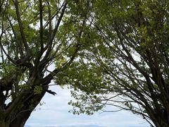 -西昌邛海宾馆