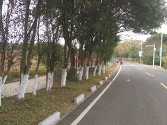-松山湖梦幻百花洲