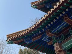-阅江楼风景区