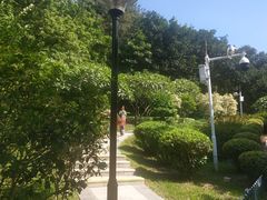 -天河儿童公园