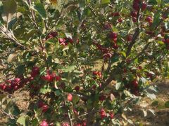 -天源吉布世温泉水乐园