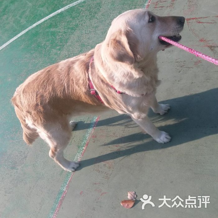 体育中心篮球馆