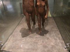 -美国自然历史博物馆