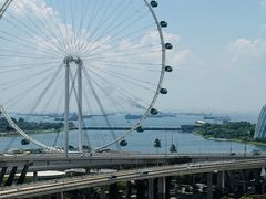 -新加坡泛太平洋酒店