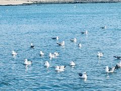 -银沙滩浴场