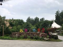 -合肥滨湖国家森林公园