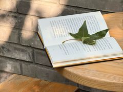 -VOYAGE COFFEE(杨梅竹店)