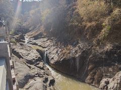 -广州白江湖森林公园