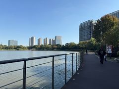 -南翔镇银翔湖公园