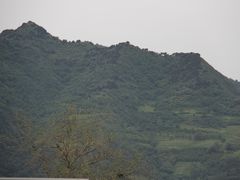 -曲江薰衣草庄园