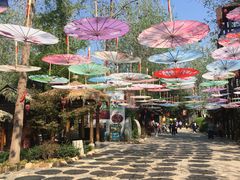 -合肥滨湖国家森林公园