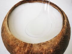 -椰爺爺·椰子冻砵仔糕