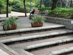 -九龙公园