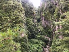 -苍山感通索道