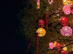 -东园小馆·早茶·淮扬小炒(宋夹城店)