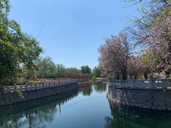 -大望京公园