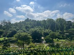 -东莞植物园