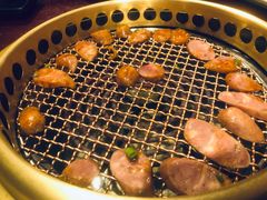 -老板恋上鱼(振华商厦店)