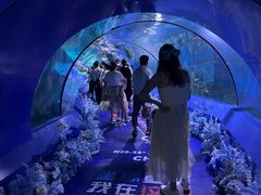 -重庆欢乐海底世界