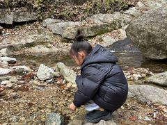 -王顺山国家森林公园