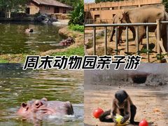 -南昌动物园