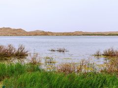 -托素湖高原生态旅游景区(柯鲁诺尔村店)