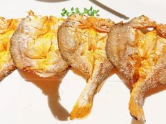 -甄御•海鲜新青岛菜(麦岛店)