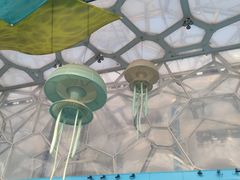 -水立方嬉水乐园