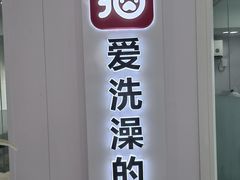-爱洗澡的猫(望京店)