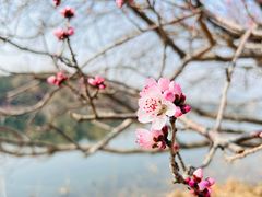 -颐和园