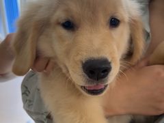 -佳雯宠物医院·皮肤科·内外科(春晓路分院)