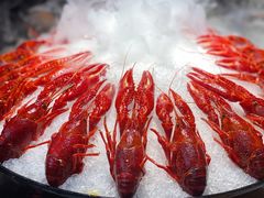 冰镇小龙虾-阿甘龙虾·重庆麻麻鱼(中豪店)